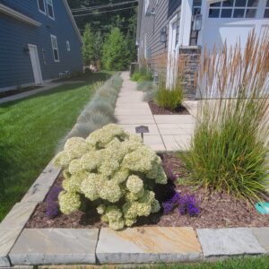 Custom Landscape Design