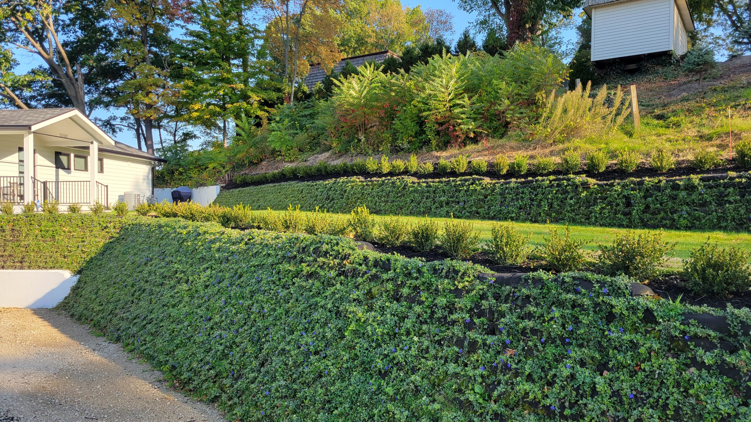 landscape design